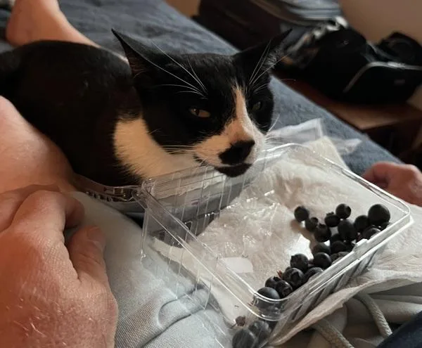 King Charlton thumbnail 2