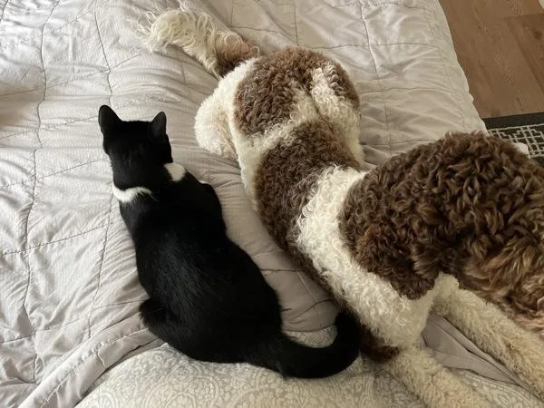 King Charlton thumbnail 3