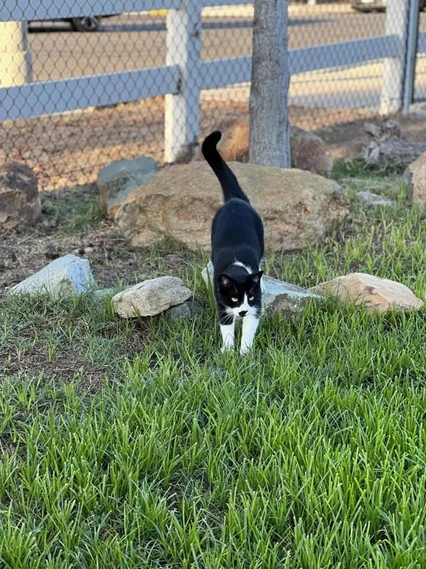 King Charlton thumbnail 4