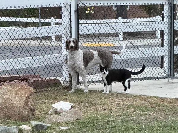 King Charlton thumbnail 5