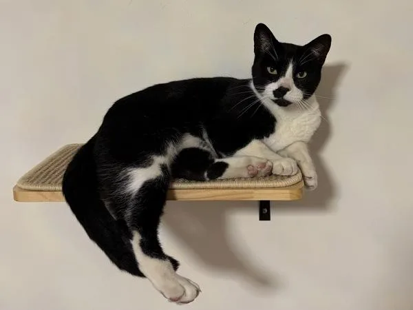 King Charlton thumbnail 6