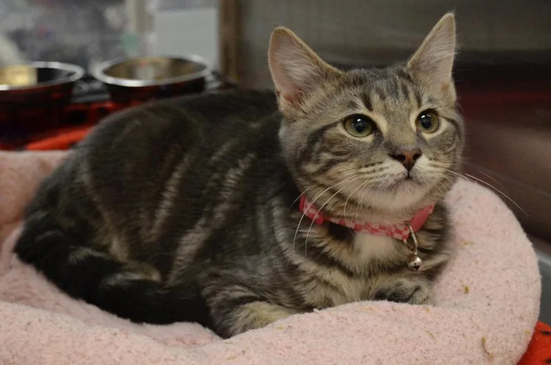 Aurora P. thumbnail 2