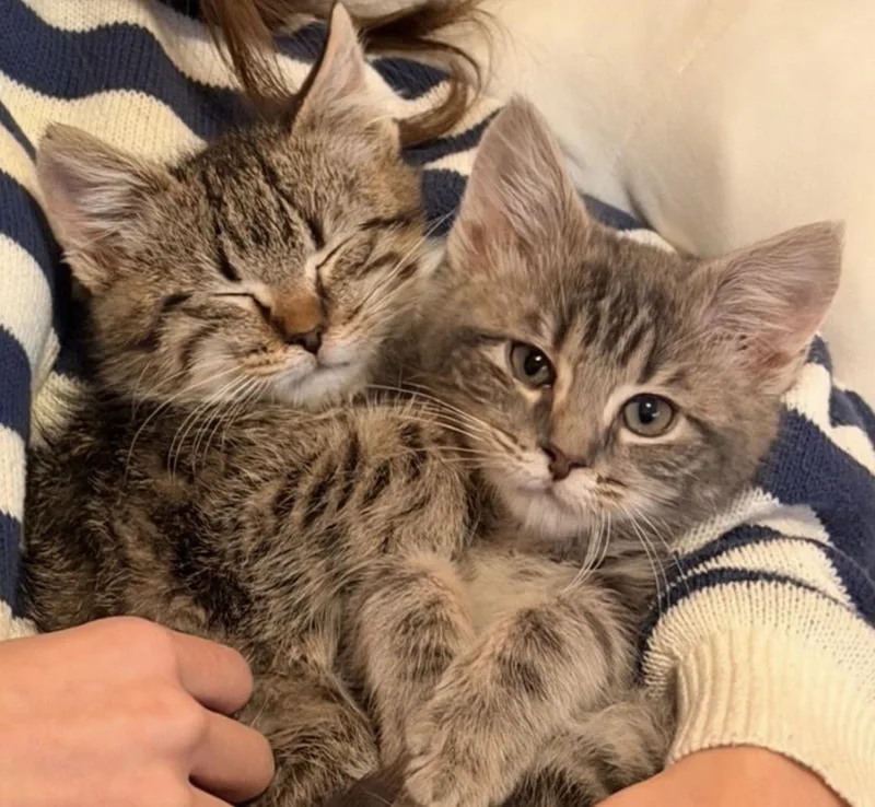 Aurora P. thumbnail 3