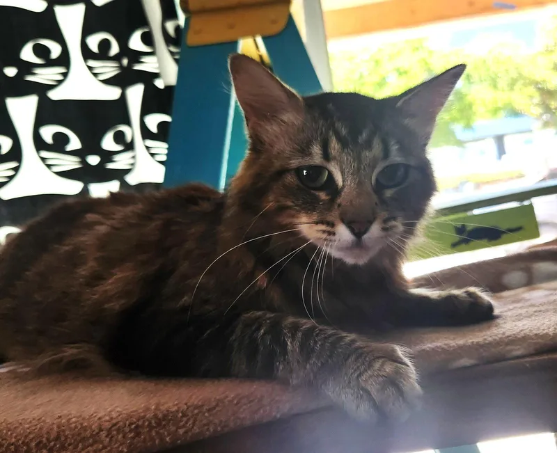 Penny