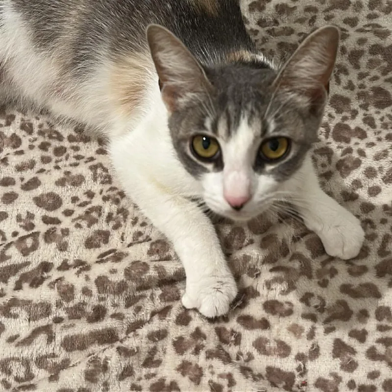 Carla