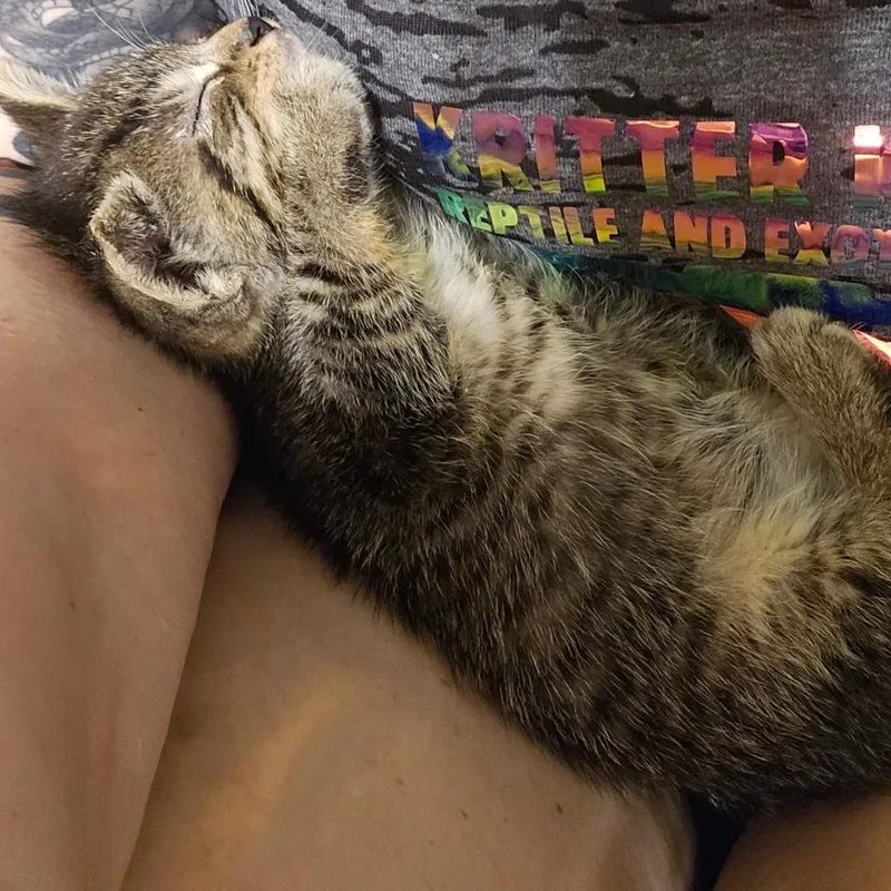 Buttercup thumbnail 5