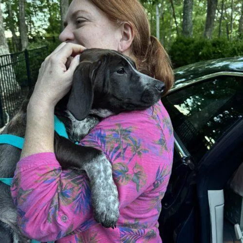 Clarabelle thumbnail 6