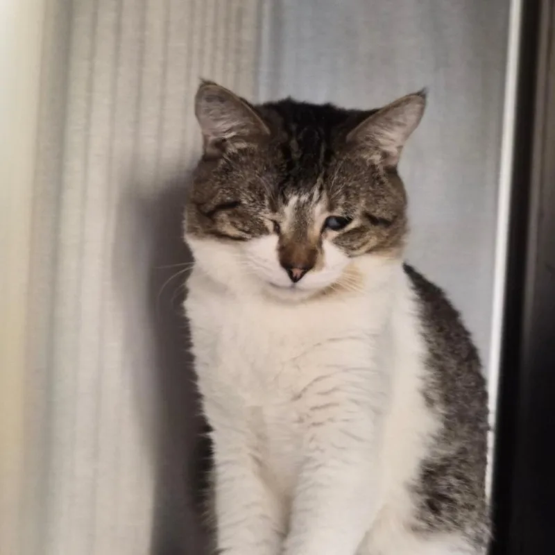 Ebbie