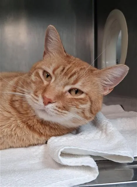 Jamba Juice thumbnail 3