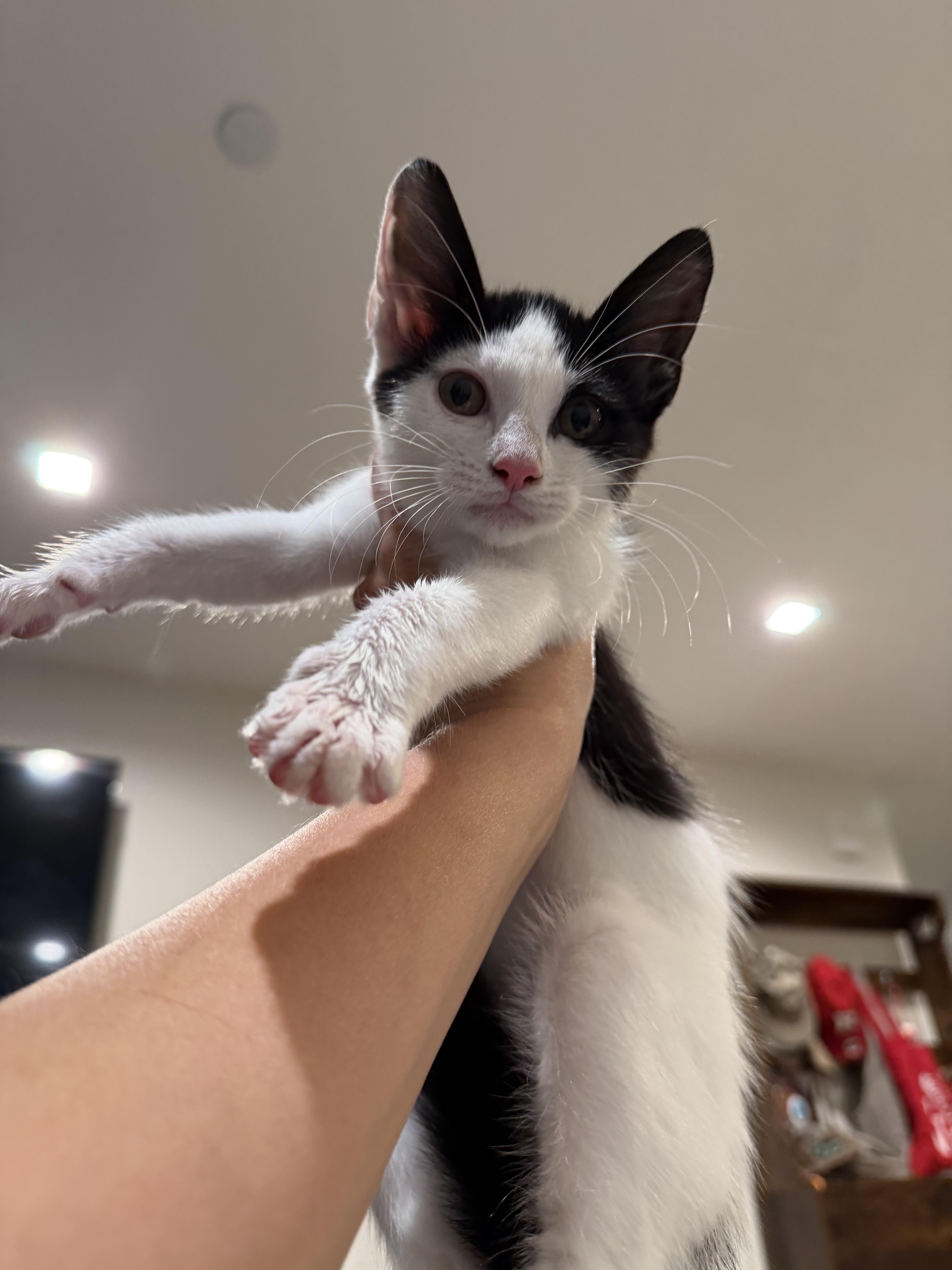 Esteban thumbnail 2