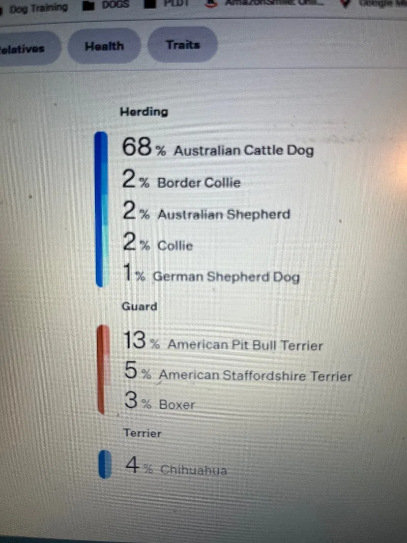 Deitrick thumbnail 3