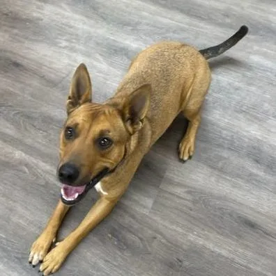 Deitrick thumbnail 4