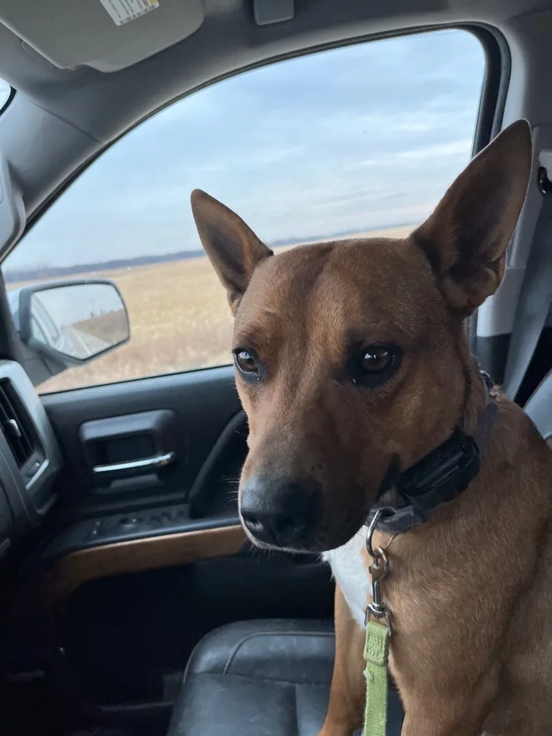 Deitrick thumbnail 6