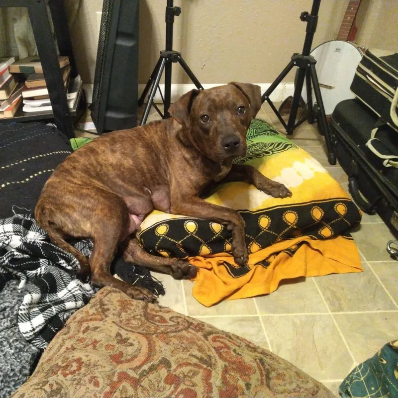 Princess thumbnail 2