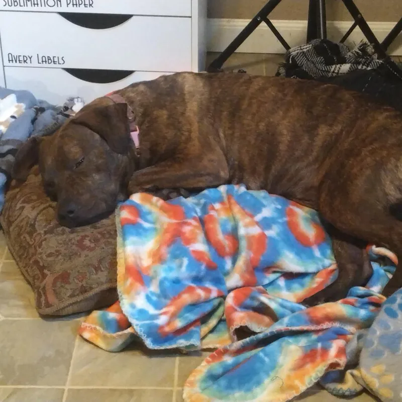 Princess thumbnail 3