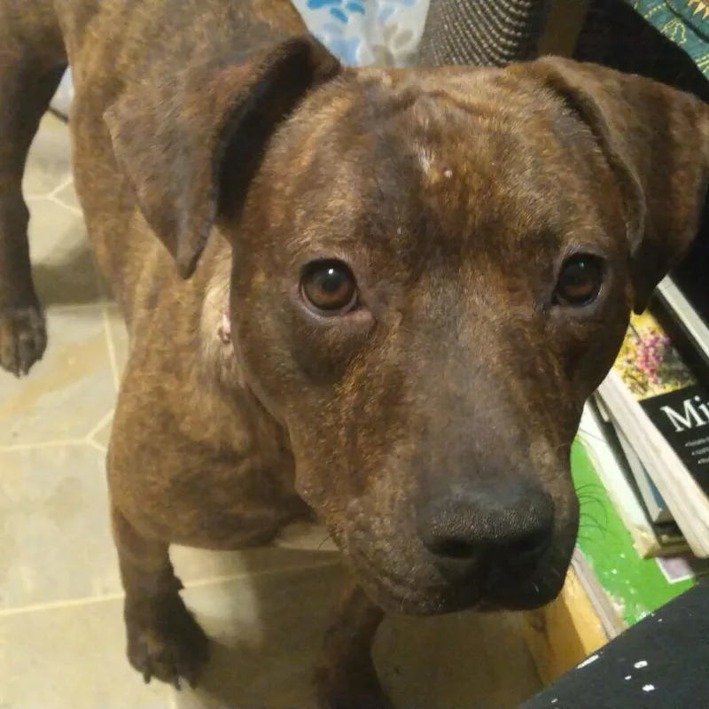 Princess thumbnail 4