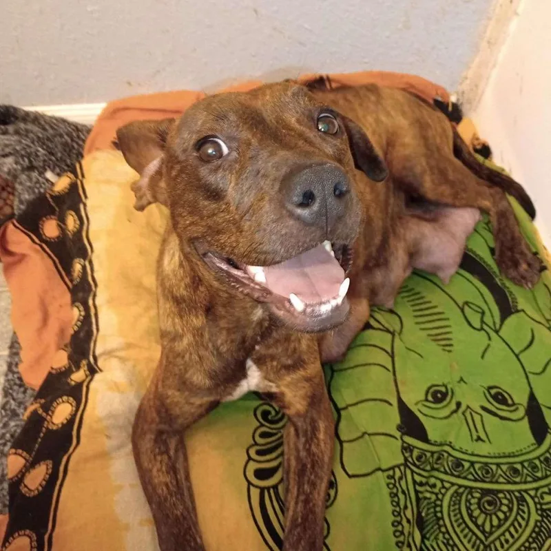 Princess thumbnail 5