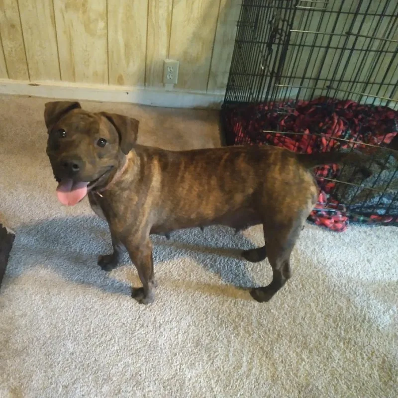 Princess thumbnail 6