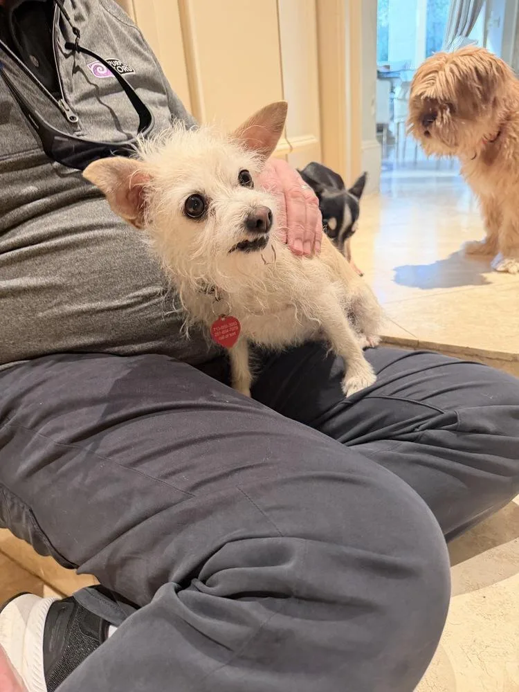 Virginia thumbnail 2