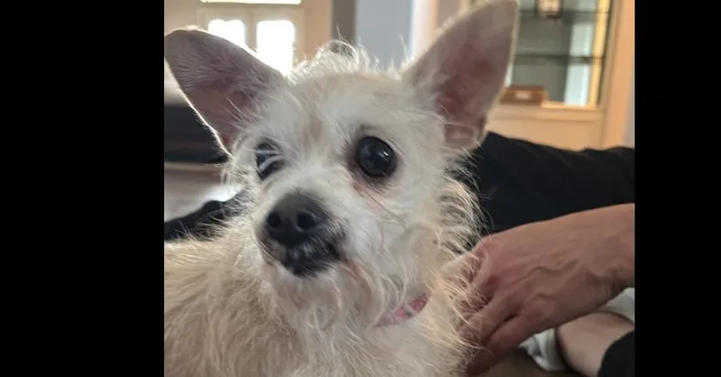 Virginia thumbnail 3