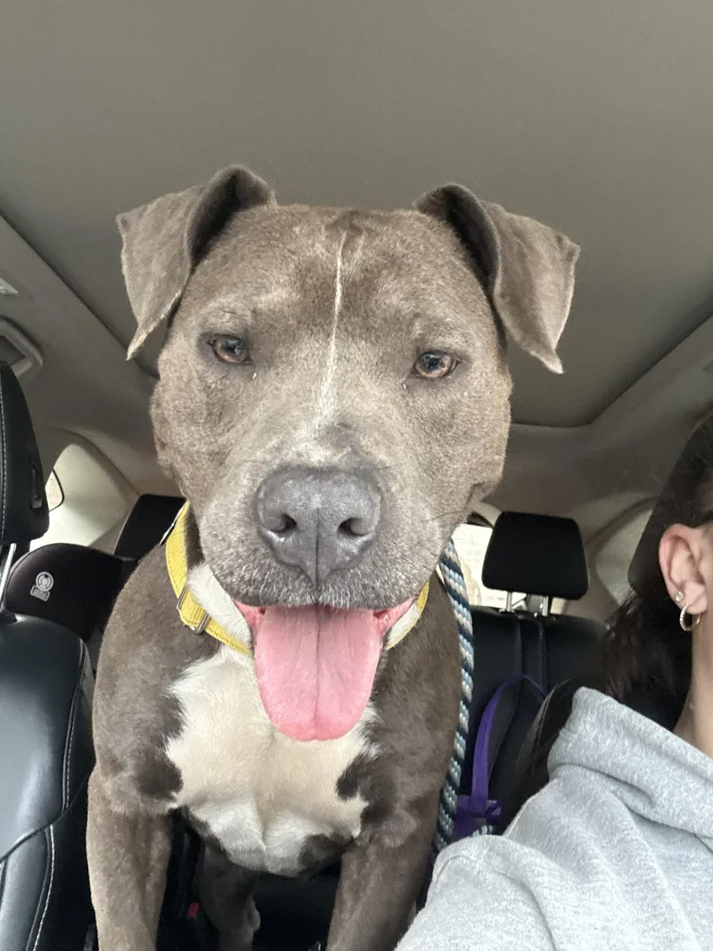 Nova Aka Melvina thumbnail 2