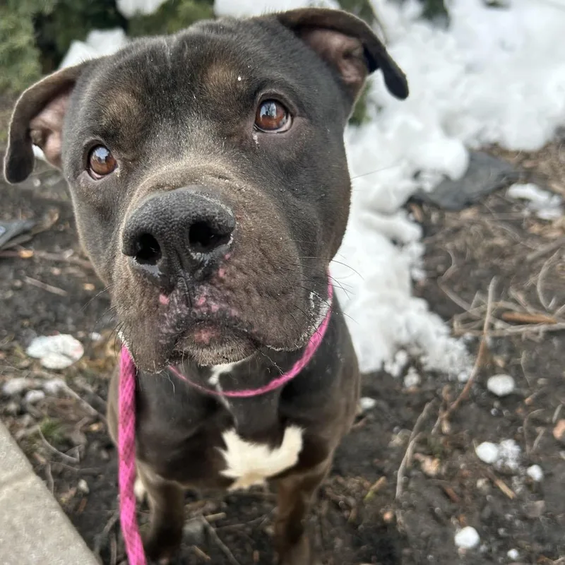 Timmy Turner thumbnail 2