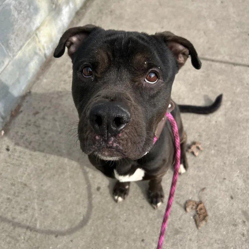 Timmy Turner thumbnail 3