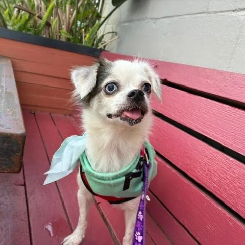 Minnie