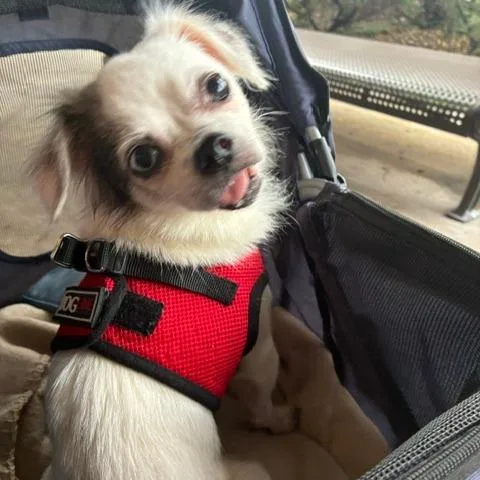Minnie thumbnail 5