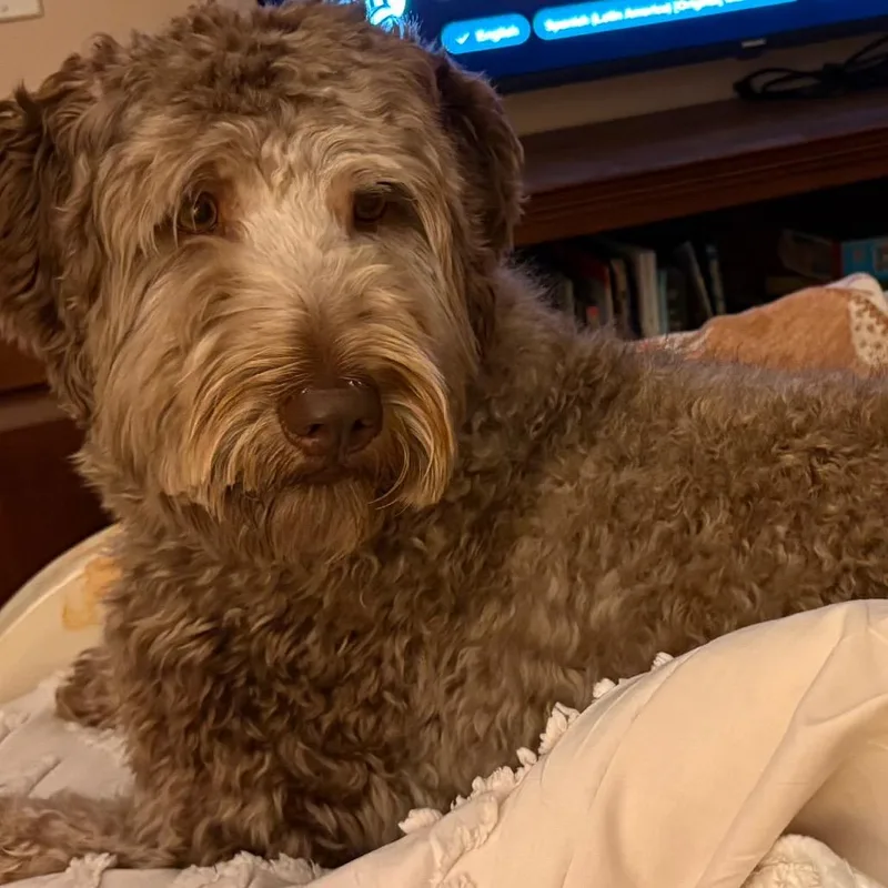 Lucie thumbnail 3