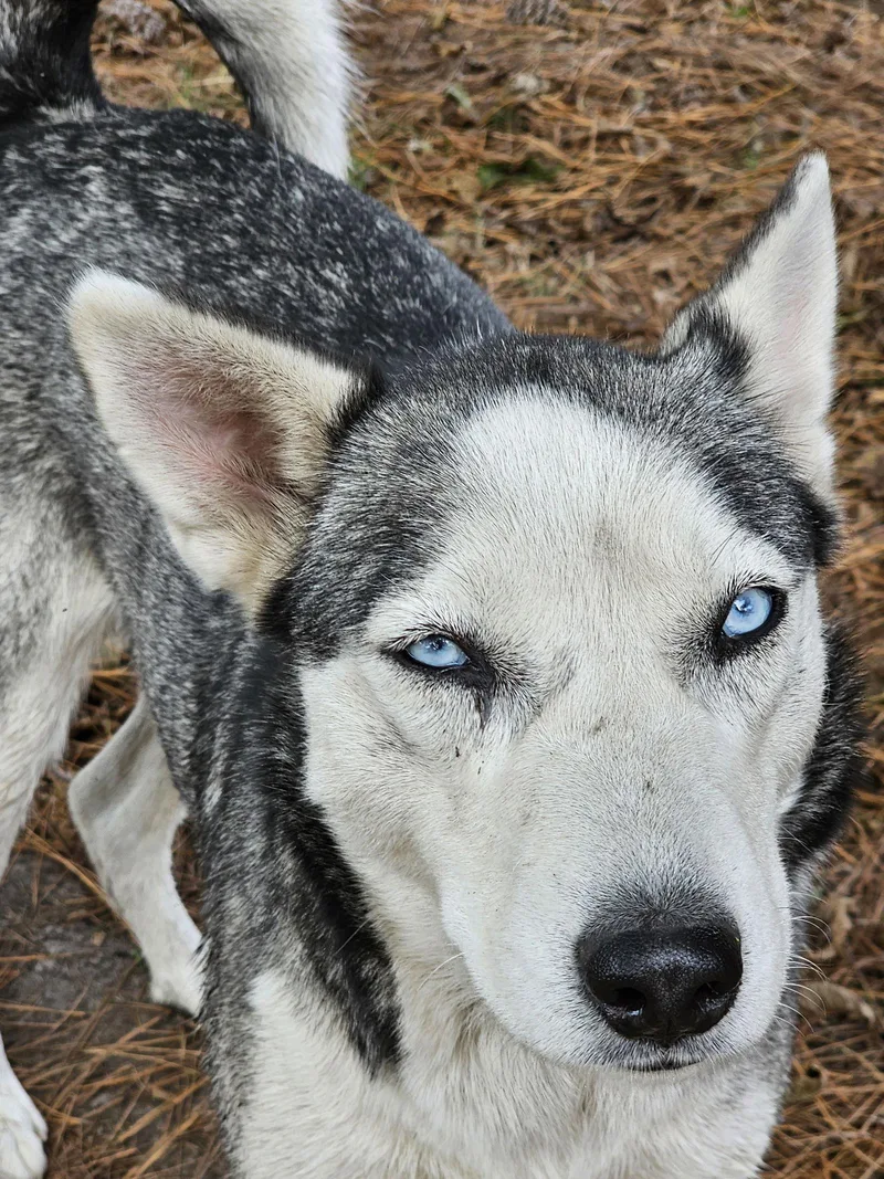 Zoe & Pedro thumbnail 2