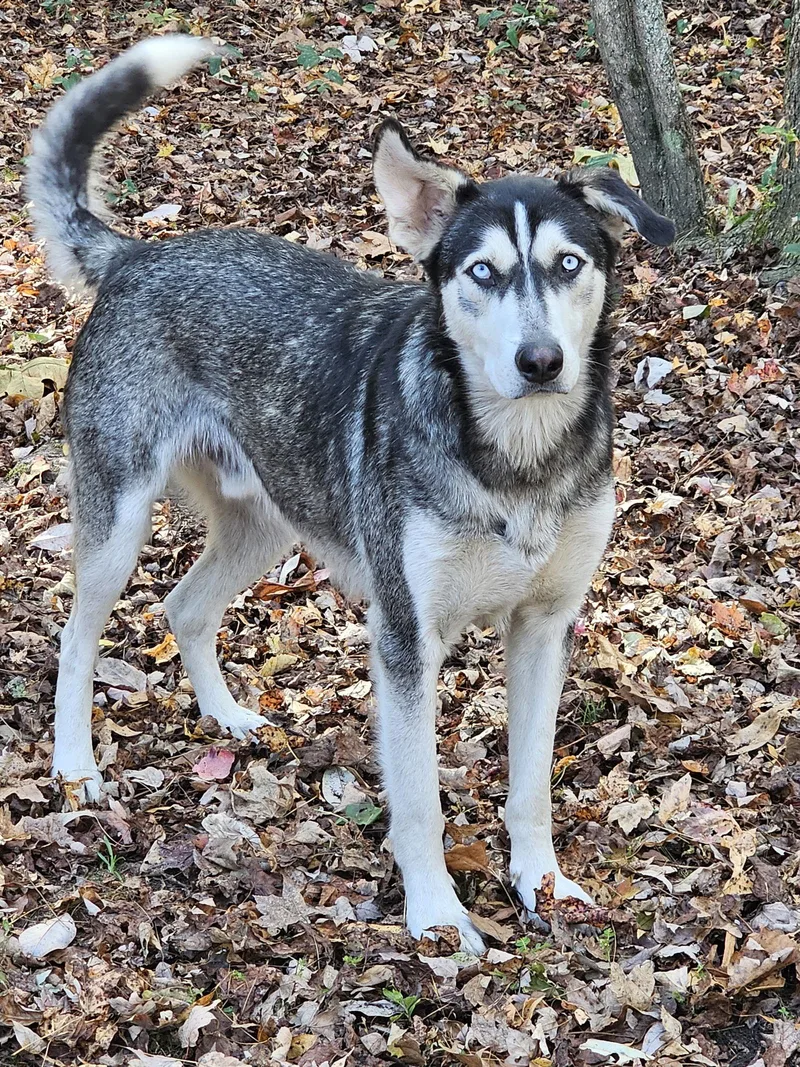 Zoe & Pedro thumbnail 3