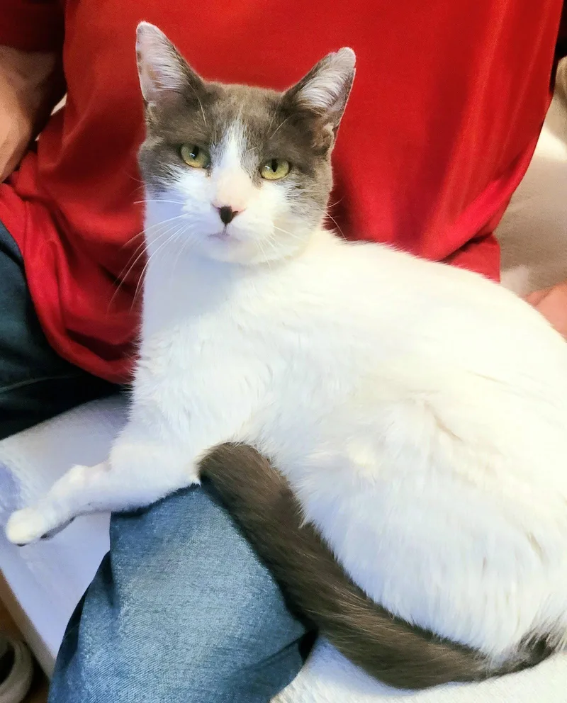 Rhiannon thumbnail 3