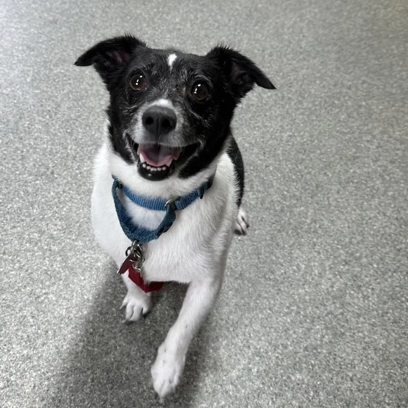 Sebastian thumbnail 2