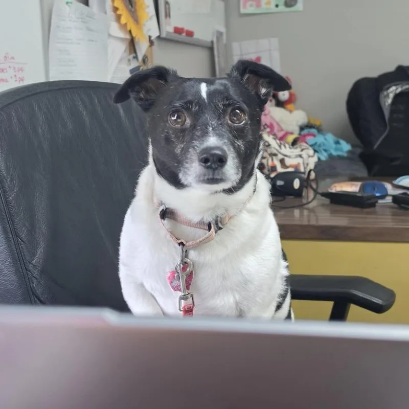 Sebastian thumbnail 4