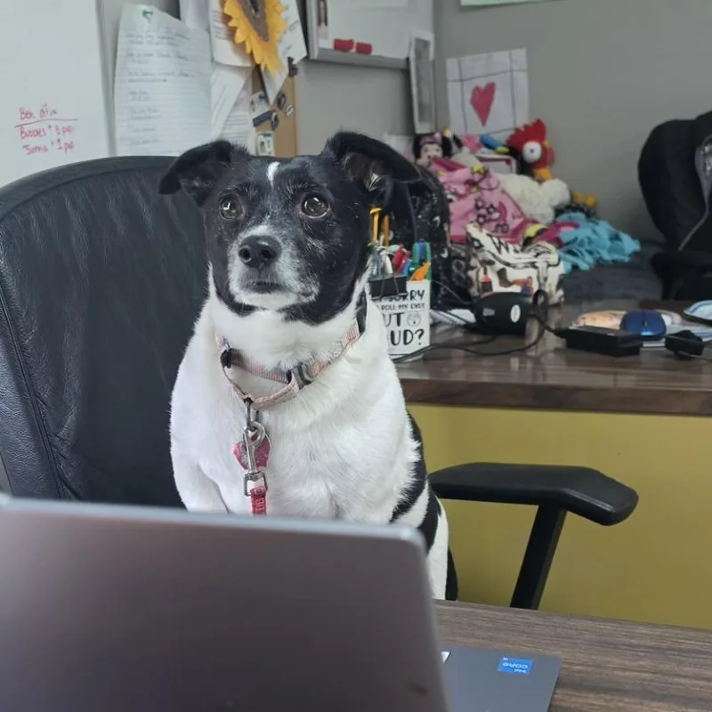 Sebastian thumbnail 5