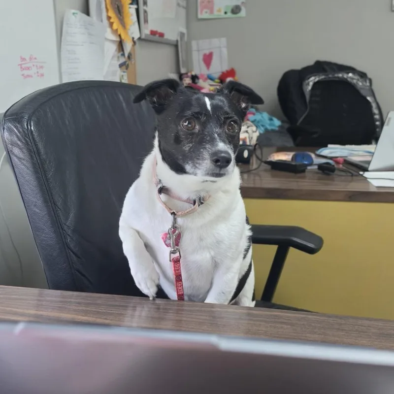 Sebastian thumbnail 6