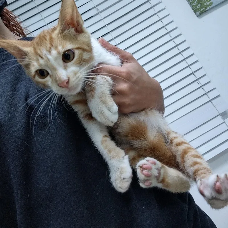 Iron Man thumbnail 2