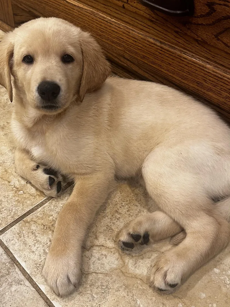 Maggie thumbnail 3