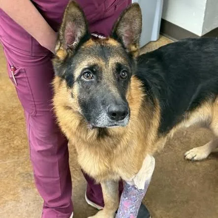 Fredrick thumbnail 2