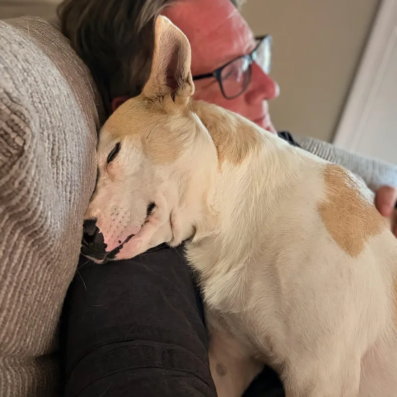 Daisy thumbnail 6