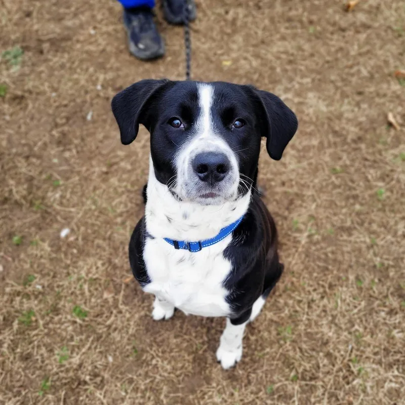 Moose Track thumbnail 5