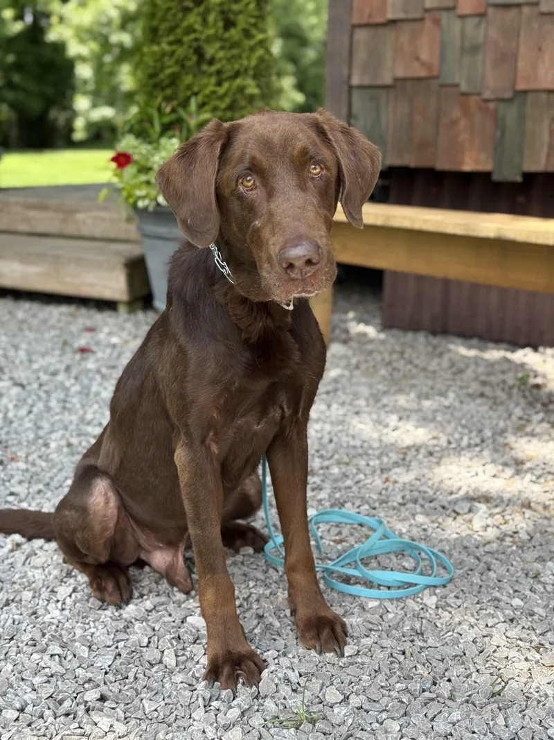 Wonka 'charlie' Vestri thumbnail 2