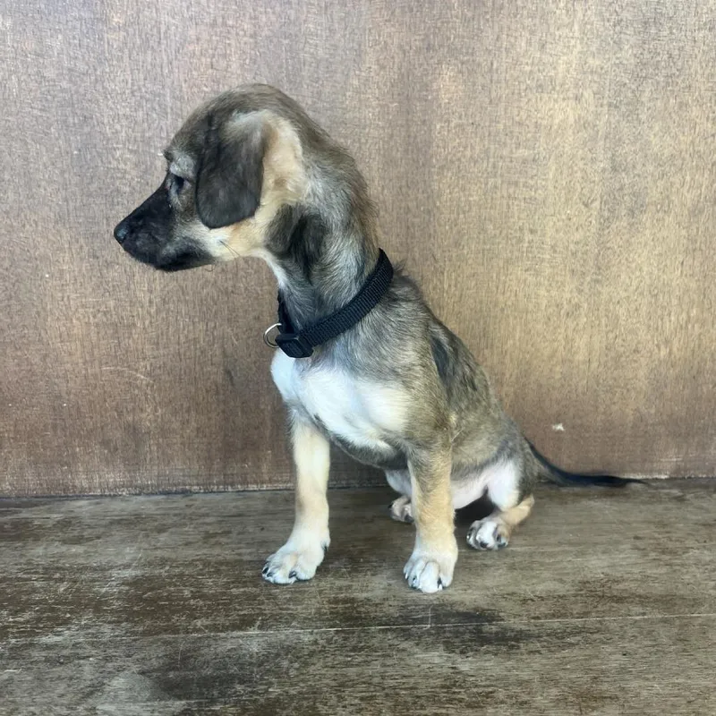 Tinkerbell thumbnail 2