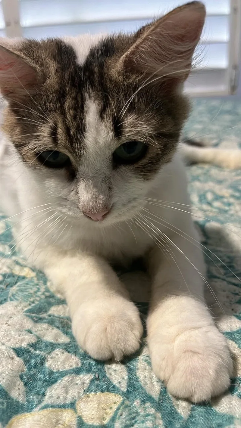 Lucy thumbnail 2