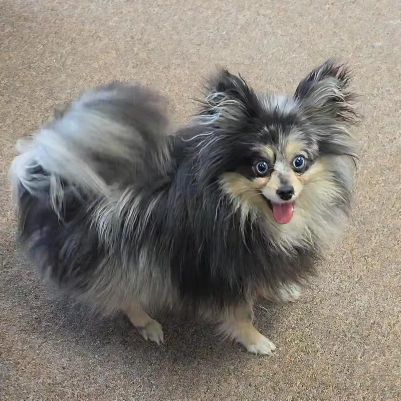 Esmerelda thumbnail 2