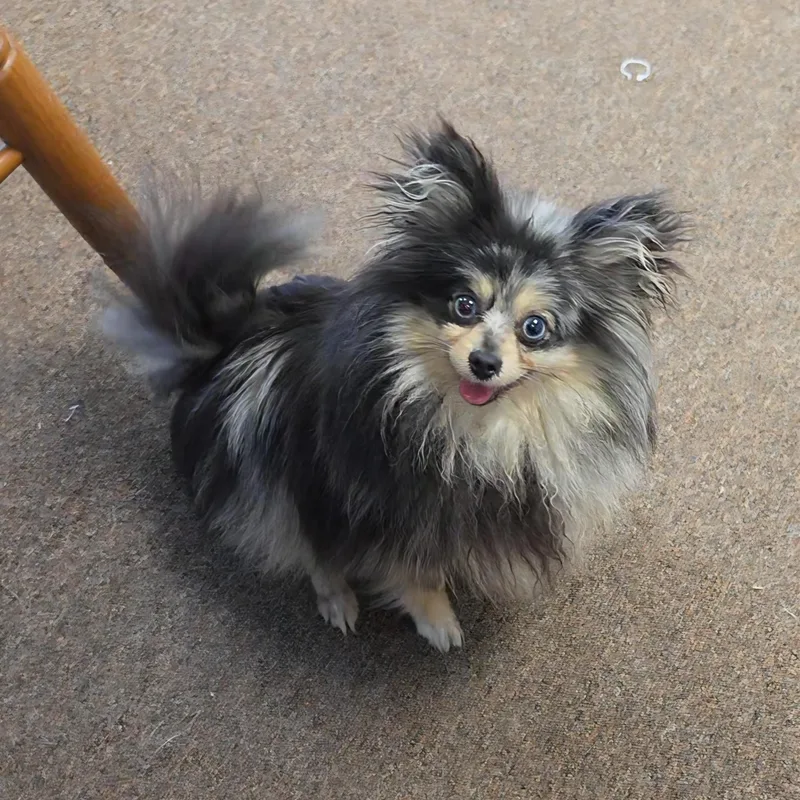 Esmerelda thumbnail 3