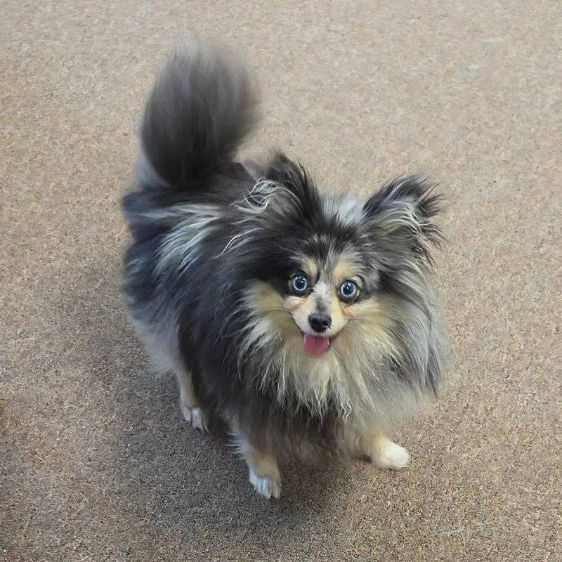 Esmerelda thumbnail 4