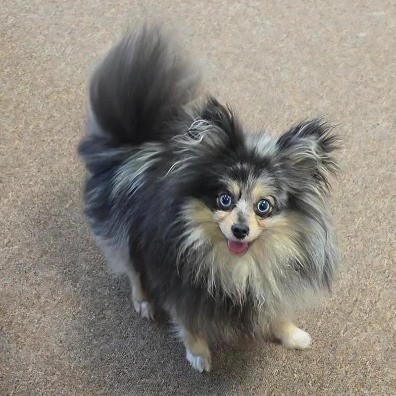 Esmerelda thumbnail 5