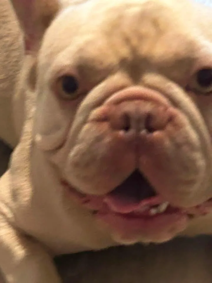 Diesel thumbnail 6